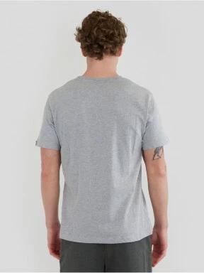 Fundango Basic - T Logo-4 T-shirt férfi rövid ujjú póló szürke színben 3